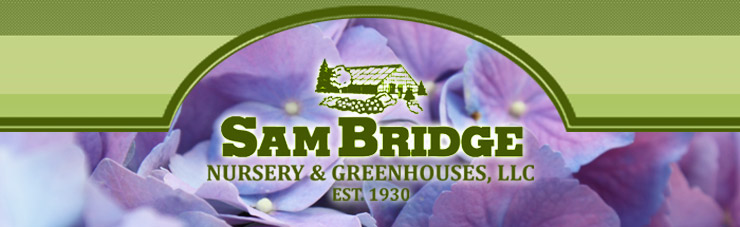 Sam Bridge Nursery News