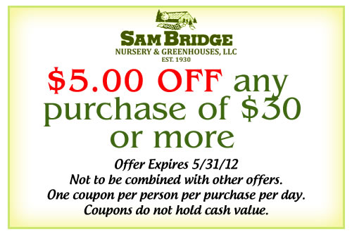 Coupon